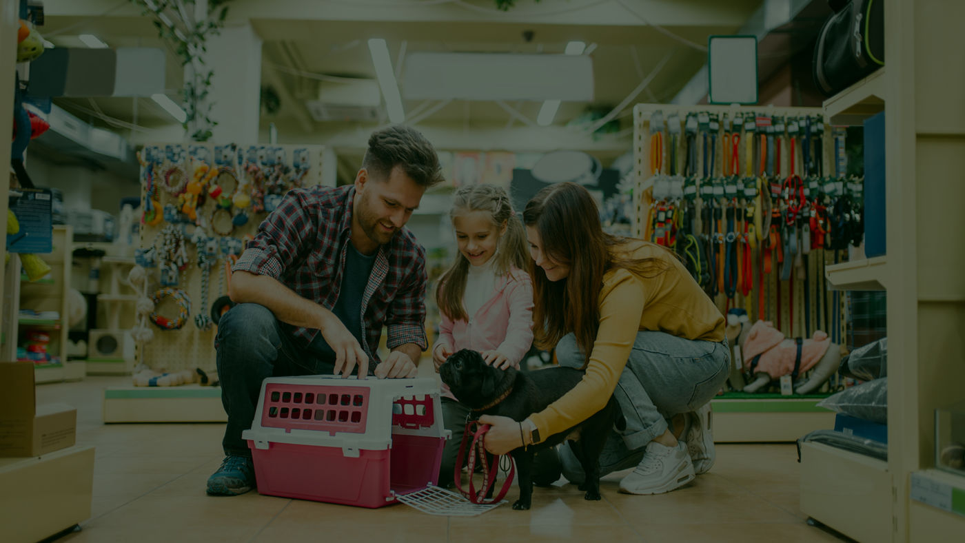 Contabilidade Para Pet Shops Em Uberlândia - Auster Inteligência Contábil
