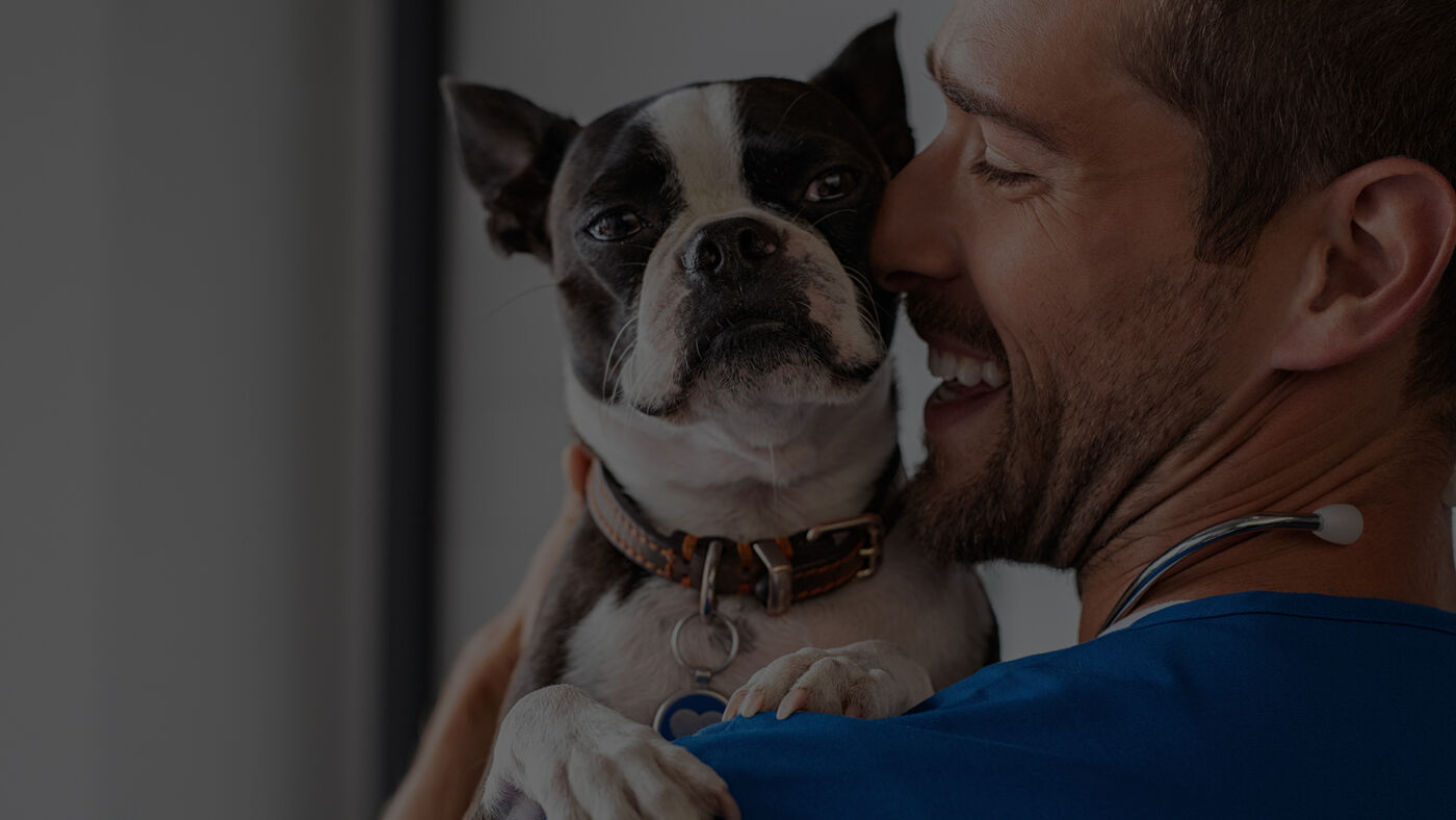 Contabilidade Para Clínicas Veterinárias - Auster Inteligência Contábil