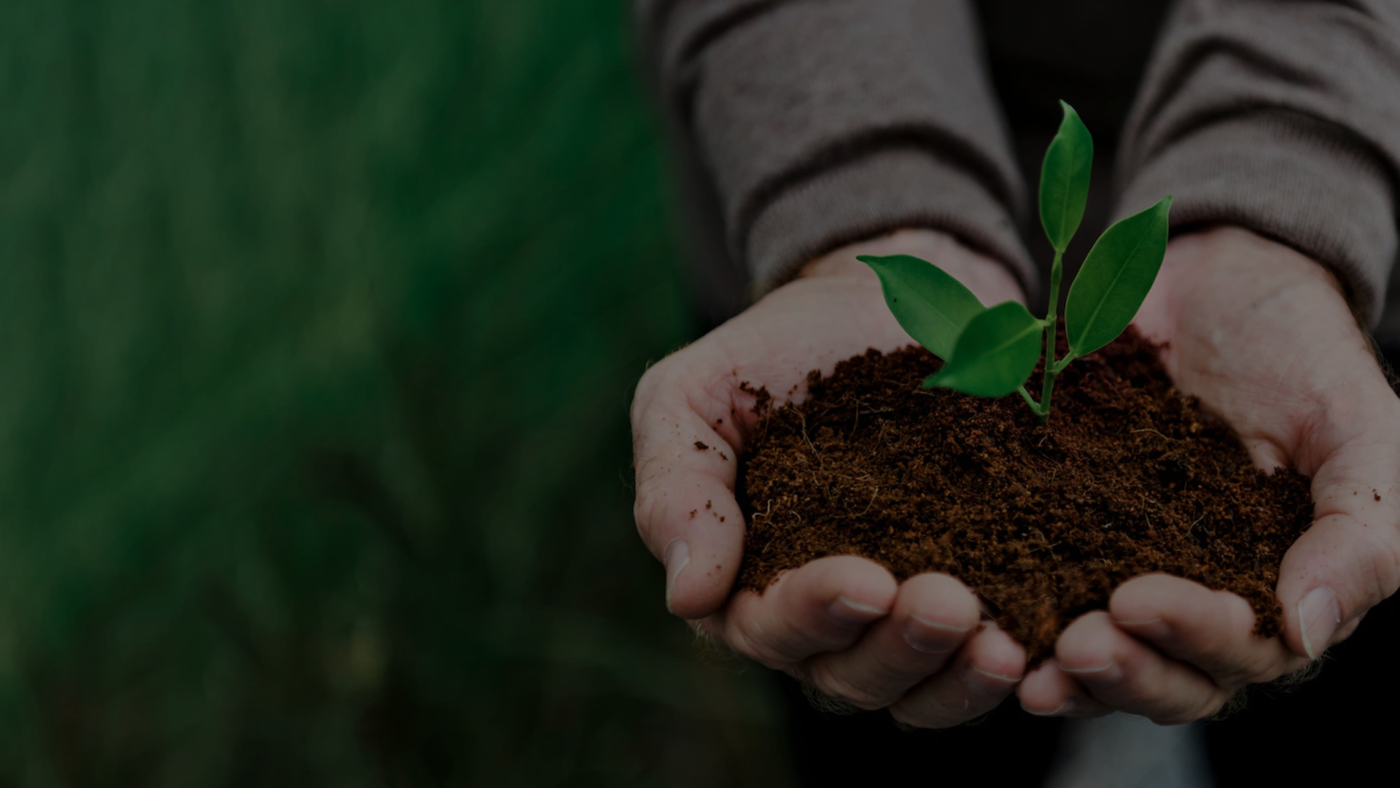 licenciamento ambiental