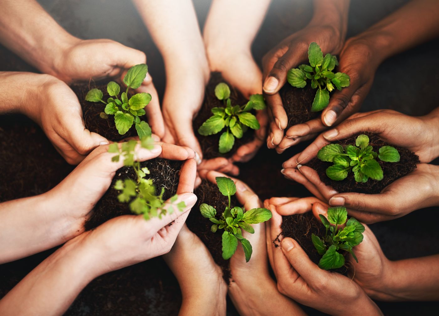 Dear Humanity, Give Green A Chance. Sincerely, Mother Nature. - Auster Inteligência Contábil